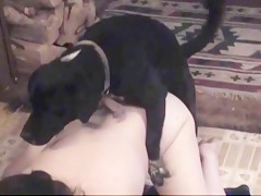 Animal Passion - Fucking Dog Scenes Part 10