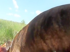 Thumb 11