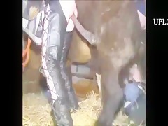 Young woman fucks with his horse