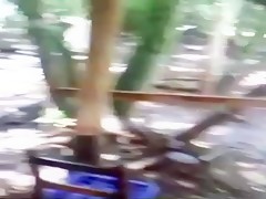 de visita con el perro