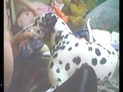 fucking my girlfrend and dog lick my balls and her ass