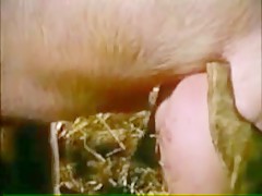 Thumb 16