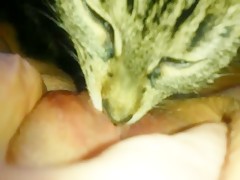 Thumb 11