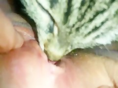 Thumb 16