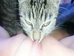 Kitty Licking Pussy