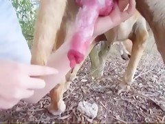 Doggy Wanking and Sucking 