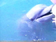 Sexo con delfin