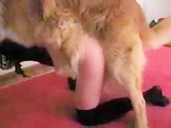 CUTE PUSSY GET FUCK HARD