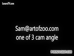 Art of zoo visto desde 1 angulo