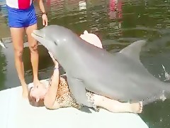 Rare video - Delfin abusa de madura