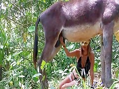 Alison with donkey