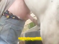 Man love huge stallion cock