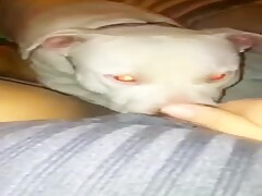 Thumb 1