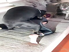 PORTAL ZOO GROUP - Link in description !