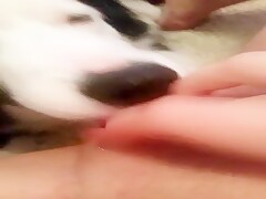 Thumb 1