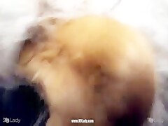 Thumb 1