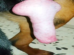 Thumb 1